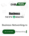 BusinessNetworking.ro – Soluția Ta pentru Vizibilitate Online în Google