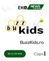 BuzzKids.ro - Soluția Ta pentru Vizibilitate Online în Google