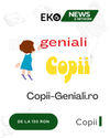 Copii-Geniali.ro - Soluția Ta pentru Vizibilitate Online în Google