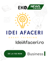 IdeiAfaceri.ro – Soluția Ta pentru Vizibilitate Online în Google