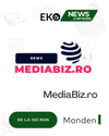 MediaBiz.ro - Soluția Ta pentru Vizibilitate Online în Google