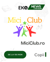 MiciClub.ro - Soluția Ta pentru Vizibilitate Online în Google