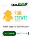 RealEstateBusiness.ro – Soluția Ta pentru Vizibilitate Online în Google