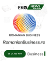 RomanianBusiness.ro – Soluția Ta pentru Vizibilitate Online în Google