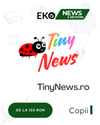 TinyNews.ro - Soluția Ta pentru Vizibilitate Online în Google