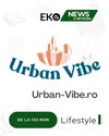 UrbanVibe.ro – Soluția Ta pentru Vizibilitate Online în Google