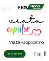 Viata-Copiilor.ro - Soluția Ta pentru Vizibilitate Online în Google