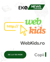 WebKids.ro - Soluția Ta pentru Vizibilitate Online în Google