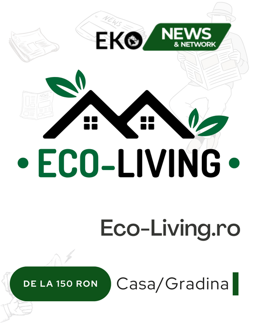 Eco-Living.ro - Soluția Ta pentru Vizibilitate Online în Google