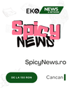 SpicyNews.ro - Soluția Ta pentru Vizibilitate Online în Google