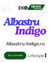 AlbastruIndigo.ro – Soluția Ta pentru Vizibilitate Online în Google